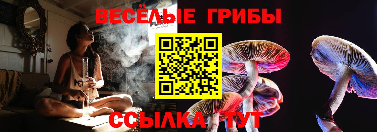 Красногорск  Псилоцибиновые грибы MAGIC MUSHROOMS  наркота  Галлюциногенные грибы Magic Shrooms  Вход с VPN 